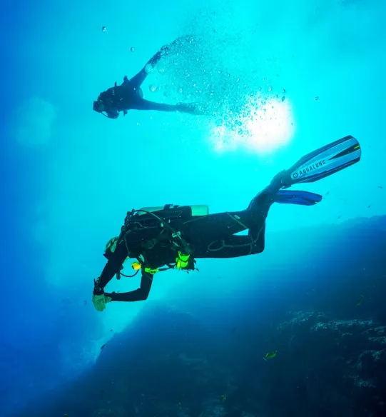 Diving Safari South