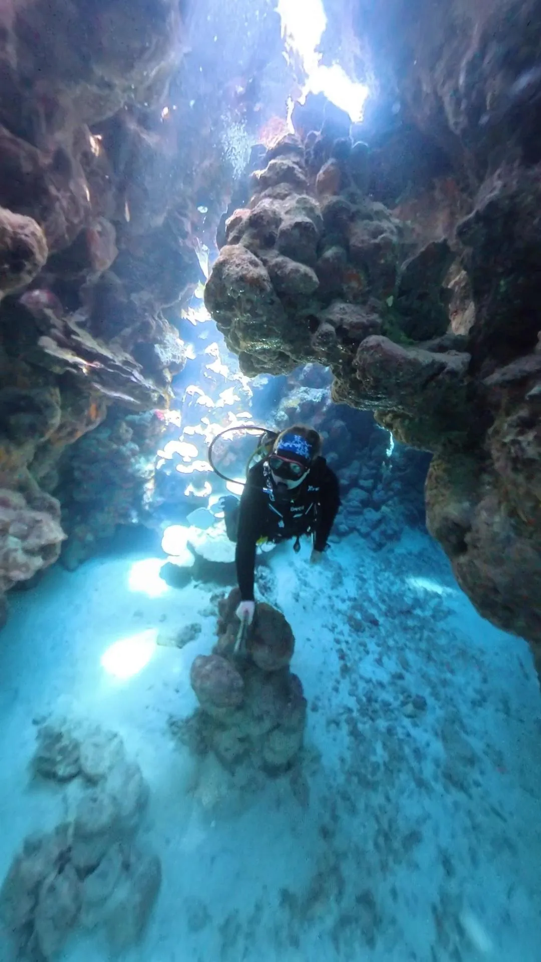 Diving Experience